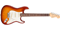 Fender0113010747