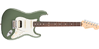 Fender0113040776