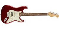Fender0113040709
